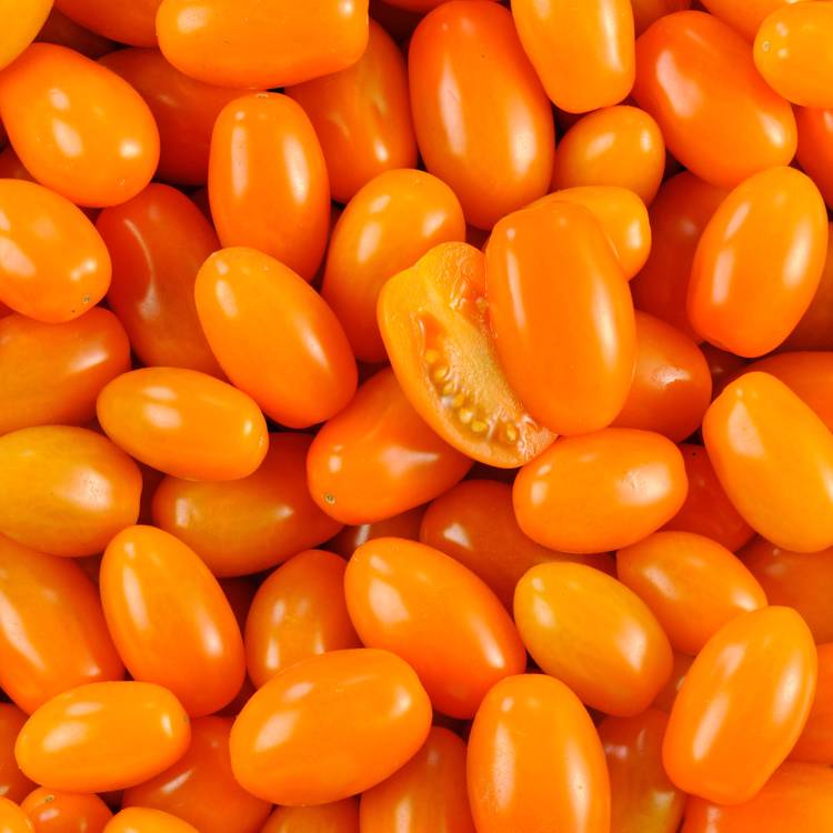 La Tomate cerise orange allongée