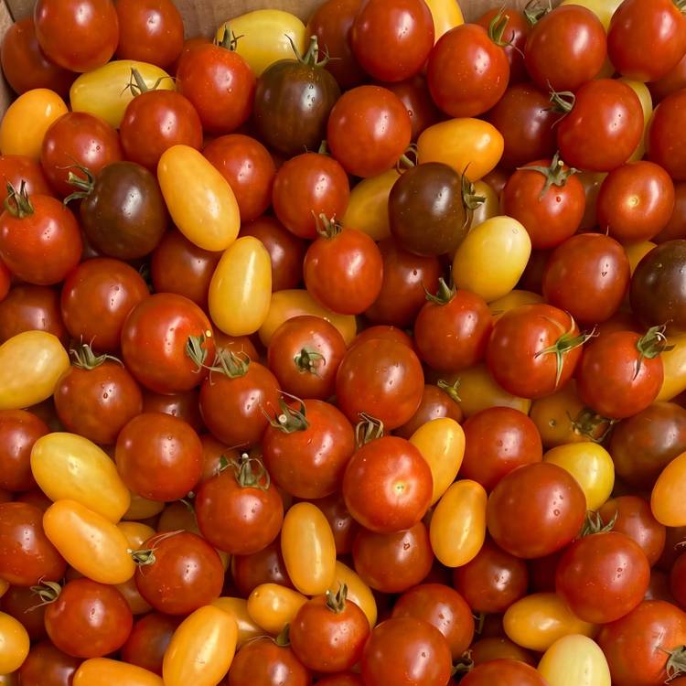 Le Panaché de tomates cerises