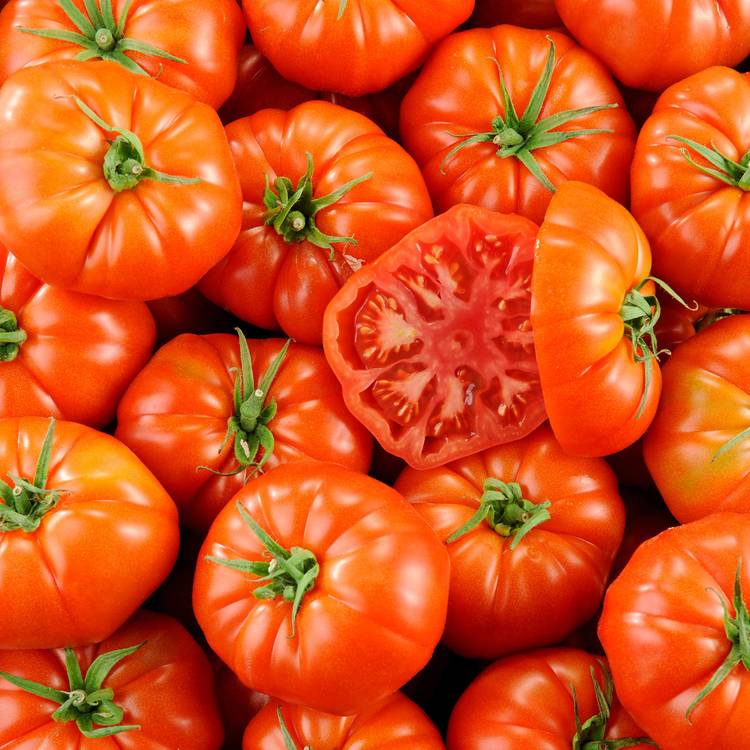 La Tomate côtelée rouge