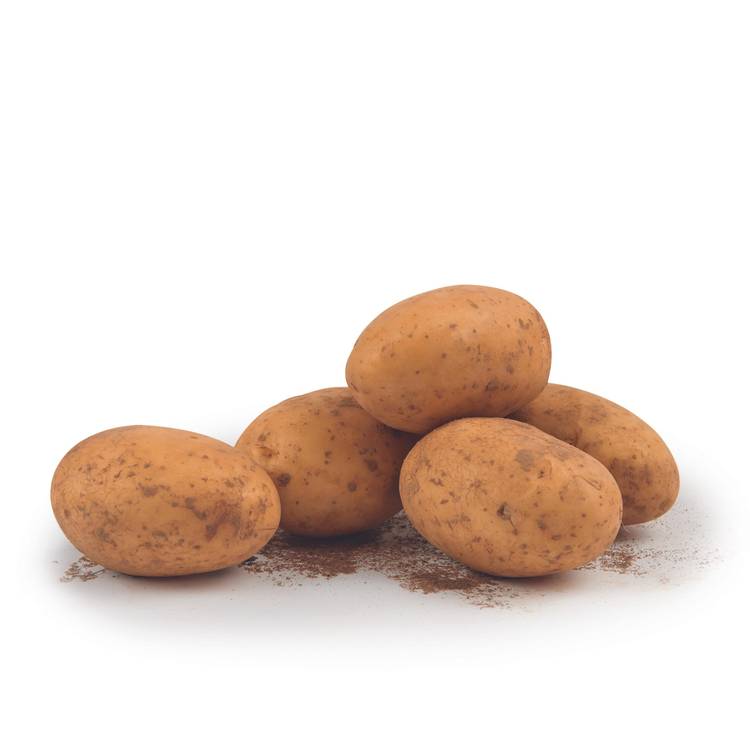 La Pomme de terre non lavée primeur spunta BIO