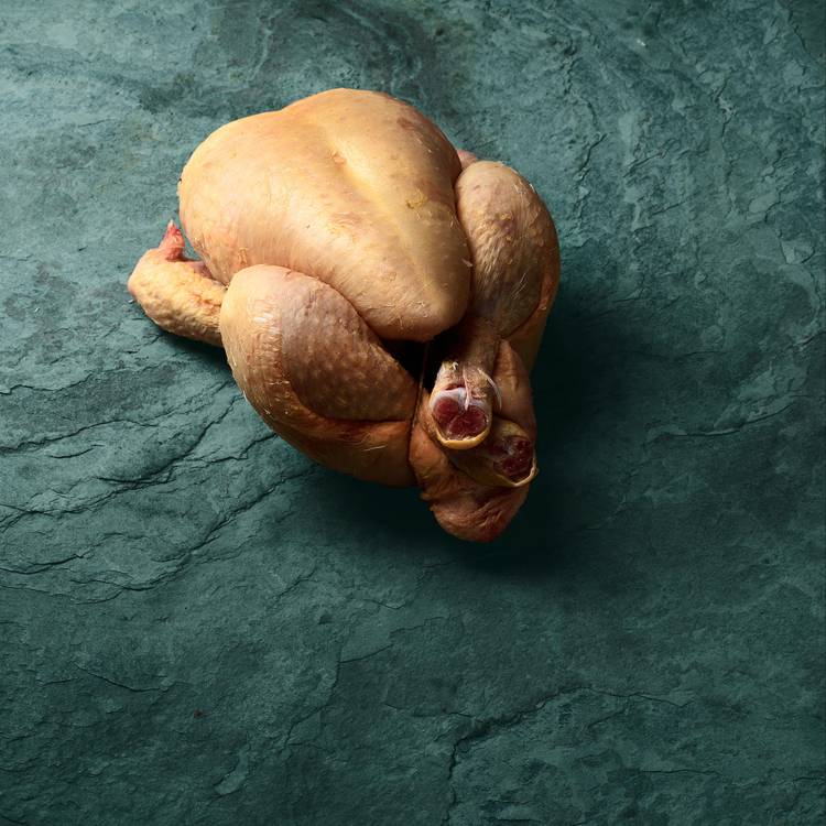 Le Coquelet