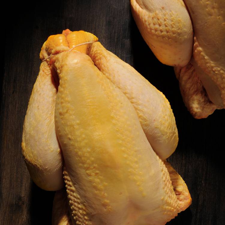Le Poulet fermier jaune des Landes Label Rouge et IGP