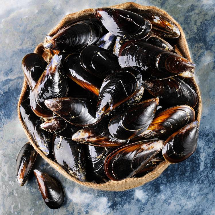 Les Moules de cordes à farcir