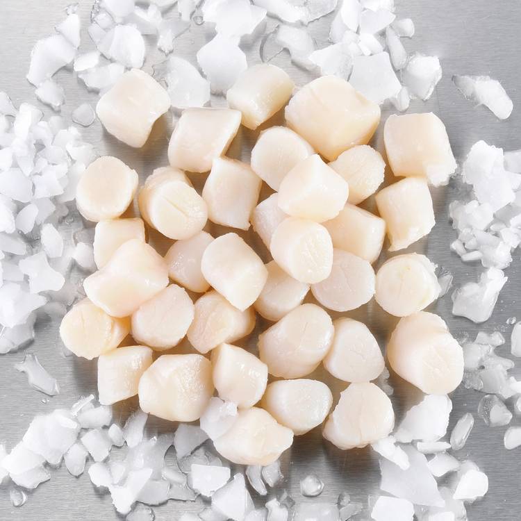 Les Noix de pétoncle blanches