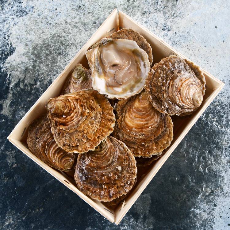 Les 12 Huîtres plates de Cancale n°1