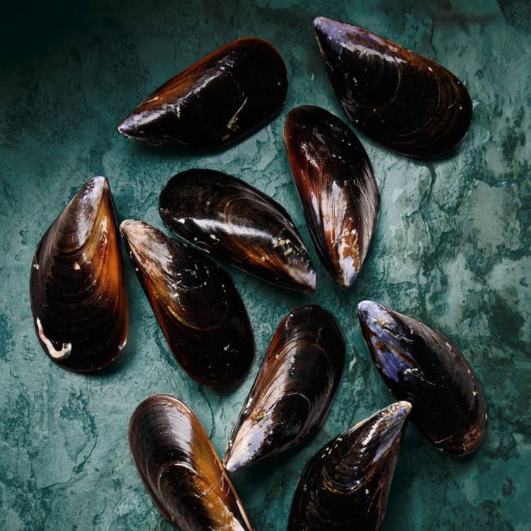 Les Moules de cordes à farcir