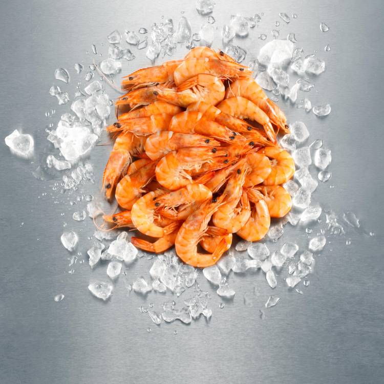 Les Crevettes cuites 60/80