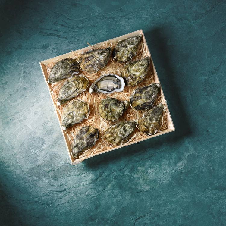 Les 12 huîtres d'excellence "Maison Blanc" n°3