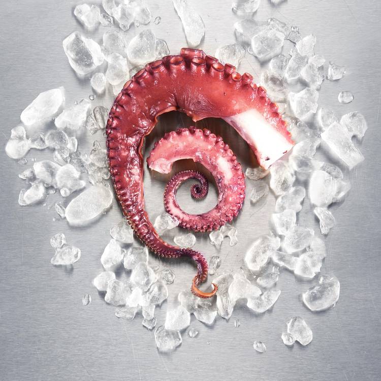 Les Tentacules de poulpe cuit