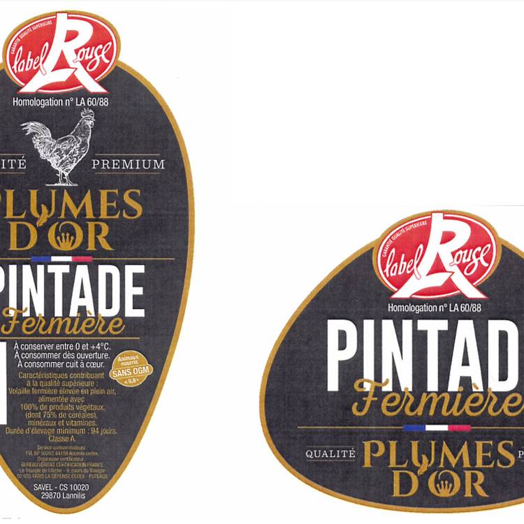 La Pintade fermière Label Rouge