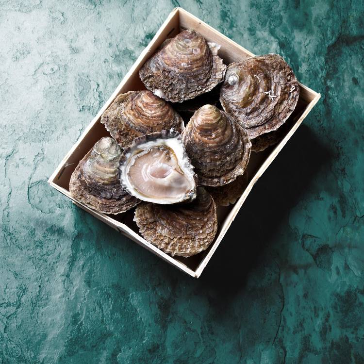 Les 12 Huîtres plates de Cancale n°1
